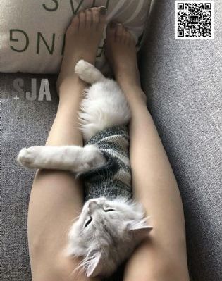 婷婷激情综合在线播放_BD韩语免费电视剧